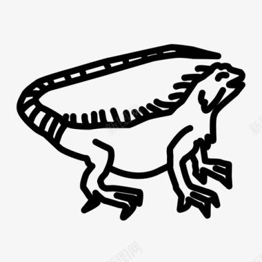 鬣蜥物种爬行动物图标图标