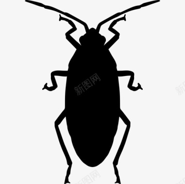 蟑螂动物动物王国图标图标