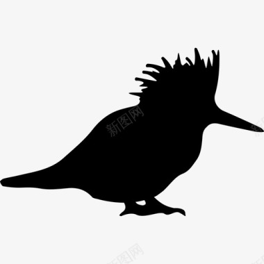 鸟的轮廓动物动物王国图标图标