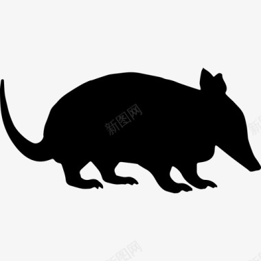 食蚁兽形状动物动物王国图标图标