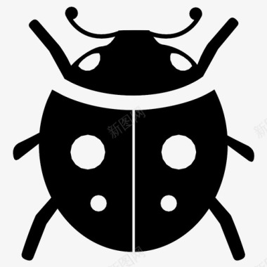 瓢虫甲虫彩色图标图标