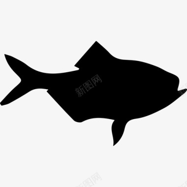 鱼阿方西诺形状动物动物王国图标图标