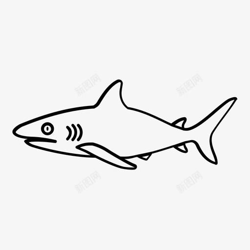 鲨鱼悸动海图标svg_新图网 https://ixintu.com 动物 危险 悸动 振荡 捕食者 搏动 海 海洋 海洋生物概述 脉搏 震颤 鲨鱼