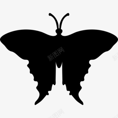 燕尾蝶形动物动物王国图标图标