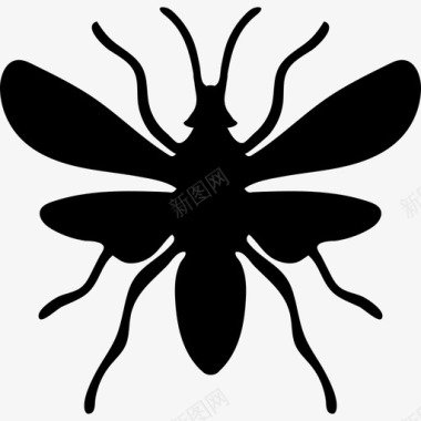 飞蚁动物动物王国图标图标