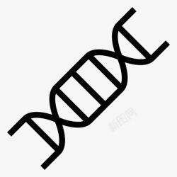 DNA序列dna序列科学图标高清图片