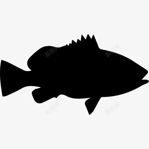 拿骚石斑鱼的形状动物动物王国图标svg_新图网 https://ixintu.com 动物 动物王国 拿骚石斑鱼的形状