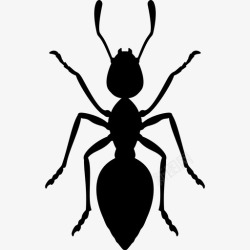 蚂蚁王国蚂蚁动物动物王国图标高清图片