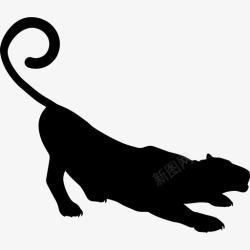 豹形豹形动物动物王国图标高清图片