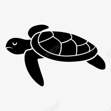 海龟汤贝壳图标图标