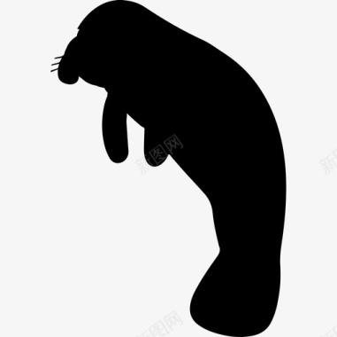 海牛哺乳动物动物形状动物动物王国图标图标
