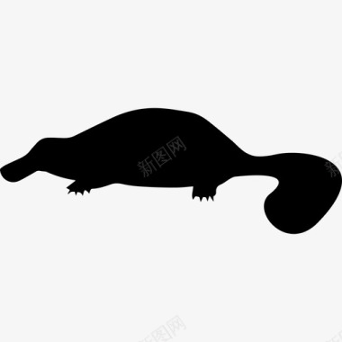 鸭嘴兽动物动物王国的哺乳动物动物形状图标图标