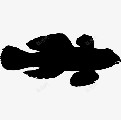 小龙鱼形状动物动物王国图标svg_新图网 https://ixintu.com 动物 动物王国 小龙鱼形状