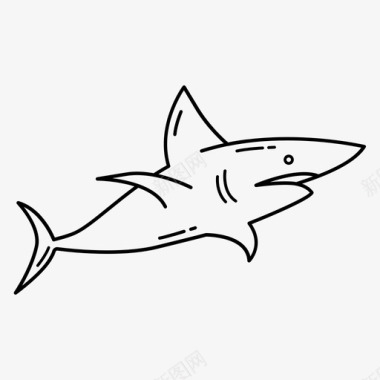 鲨鱼海海洋图标图标