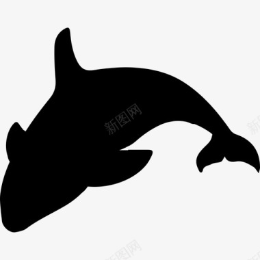 虎鲸的轮廓动物动物王国图标图标