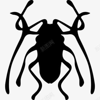 甲虫三角肌科动物图标图标