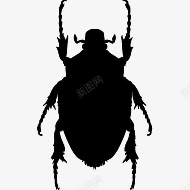 臭虫动物动物王国的昆虫形状图标图标