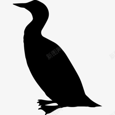 鸟潜鸟形状动物动物王国图标图标