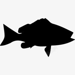 黑鳍黑鳍鲷的鱼形动物动物王国图标高清图片