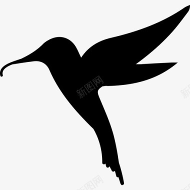 蜂鸟鸟形动物图标图标