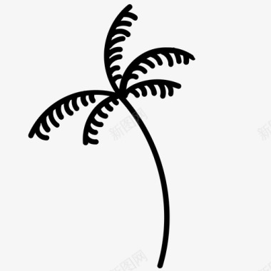 棕榈树热带树荫图标图标