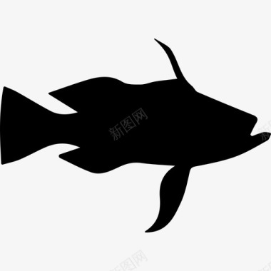 长尾鲈鱼形动物动物王国图标图标