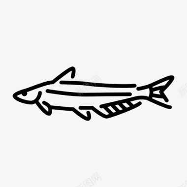 蓝鲶鱼淡水淡水鱼图标图标