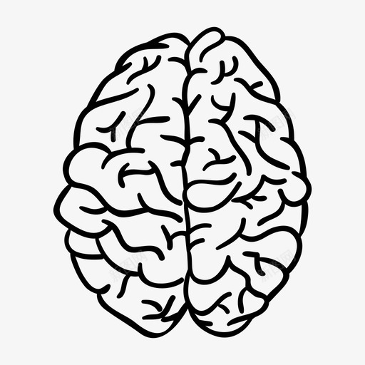 大脑解剖学智力图标svg_新图网 https://ixintu.com 医学 大脑 头脑 学者 智力 解剖学