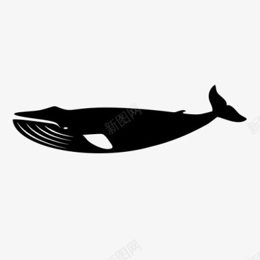 鲸鱼座头鲸海洋生物图标图标