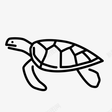 海龟动物海洋生物图标图标