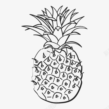 菠萝水果甜味图标图标