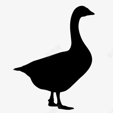 鹅鸟鸭图标图标