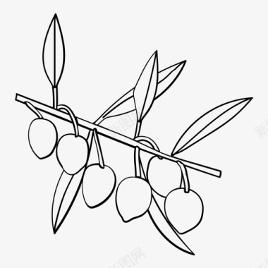 橄榄香料橄榄油图标图标