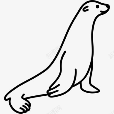 海狮动物海豹图标图标