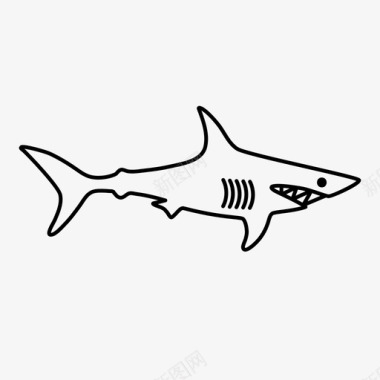 鲨鱼危险鱼图标图标