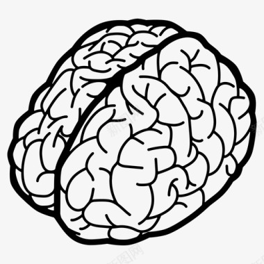 大脑人类智力图标图标