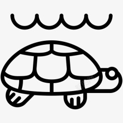 水龟海龟水族馆甲壳图标高清图片