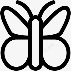 蝴蝶的滑翔机蝴蝶滑翔机蝴蝶昆虫图标高清图片