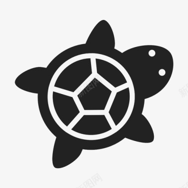 乌龟桨海龟图标图标
