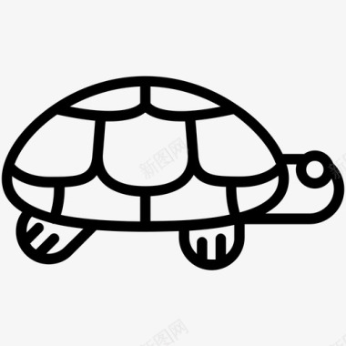 海龟动物甲壳动物图标图标