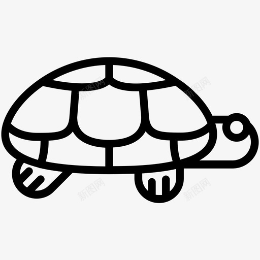 海龟动物甲壳动物图标svg_新图网 https://ixintu.com 动物 慢 海龟 爬行动物 甲壳动物 美味的水族馆