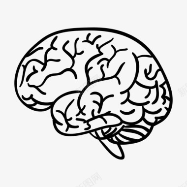 大脑解剖学智力图标图标