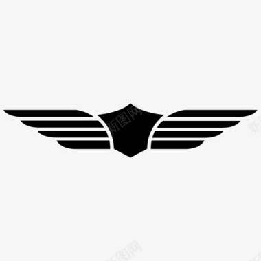 飞行员的翅膀空军飞行图标图标