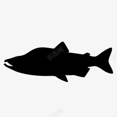 驼背鲑鱼鱼粉红鲑鱼图标图标