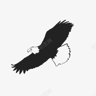 鹰猎鹰飞翔图标图标
