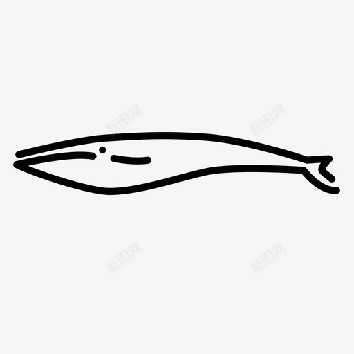 座头鲸蓝鲸哺乳动物图标svg_新图网 https://ixintu.com 哺乳动物 座头鲸 海洋生物 蓝鲸