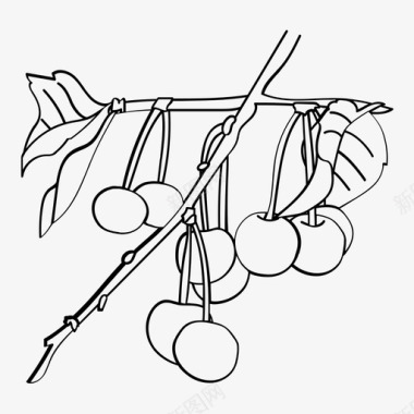 樱桃香料水果图标图标