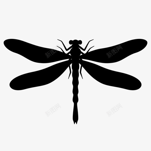 蜻蜓虫子会飞的蝰蛇图标svg_新图网 https://ixintu.com 会飞的动物 会飞的蝰蛇 动物的剪影 昆虫 虫子 蜻蜓