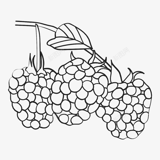 覆盆子浆果香料图标svg_新图网 https://ixintu.com 水果 水果和蔬菜概述 浆果 覆盆子 香料