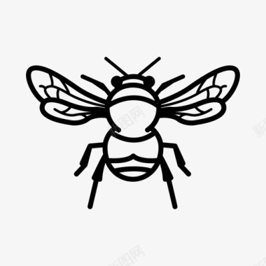 大黄蜂苍蝇蜂蜜图标图标